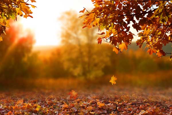 Herbstblues Depression